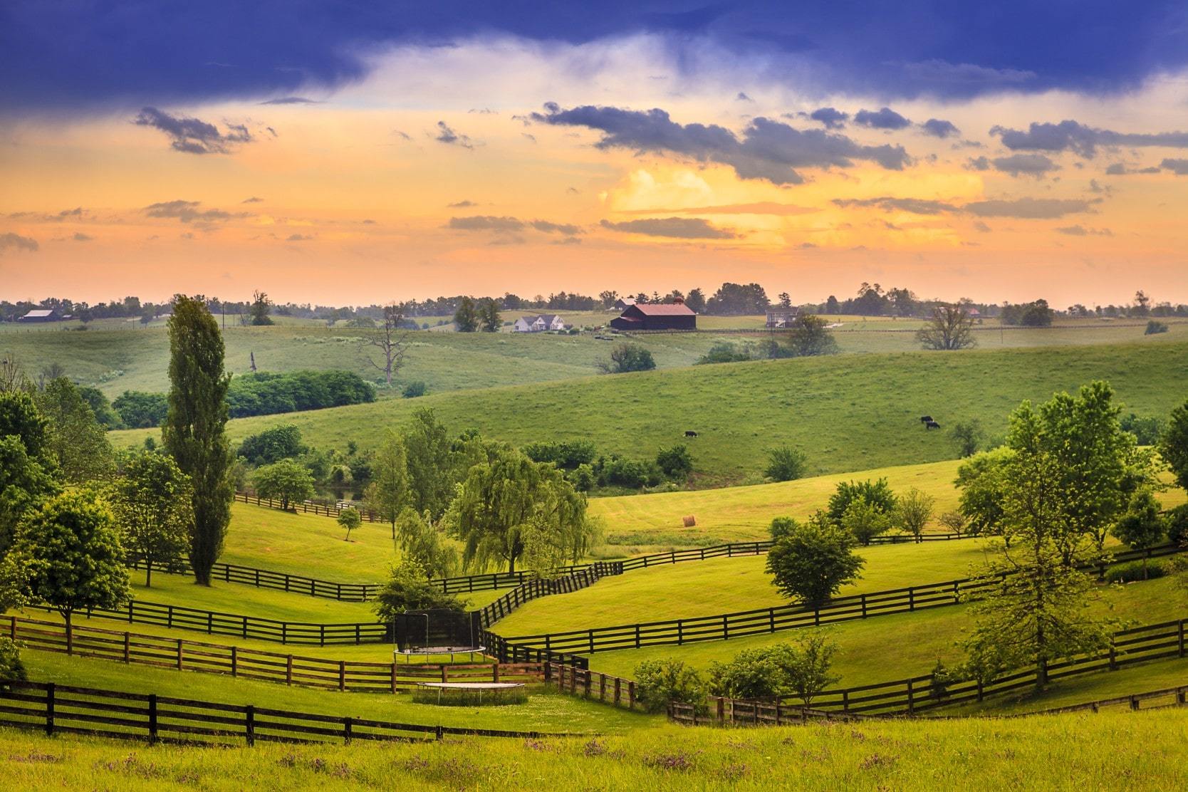 Farmland in Harrodsburg, Kentucky